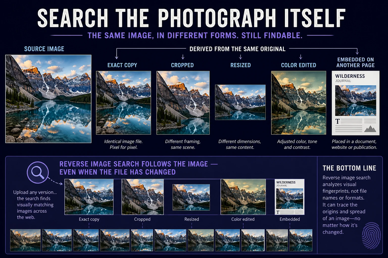Source photograph branching into exact, cropped, resized, color-edited, and page-embedded copies